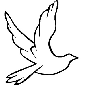 欧美亚洲韩国日本乱伦视频
